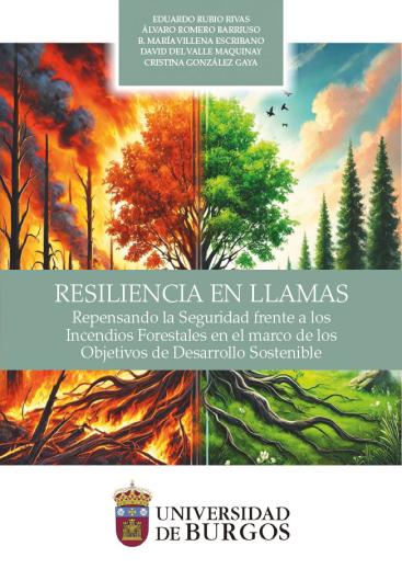 Cubierta "Resiliencia en llamas. Repensando la Seguridad frente a los Incendios Forestales en el marco de los Objetivos de Desarrollo Sostenible"